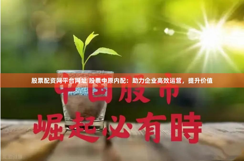 股票配资网平台网址 股票中原内配：助力企业高效运营，提升价值