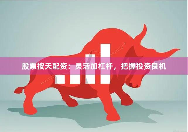 股票按天配资：灵活加杠杆，把握投资良机