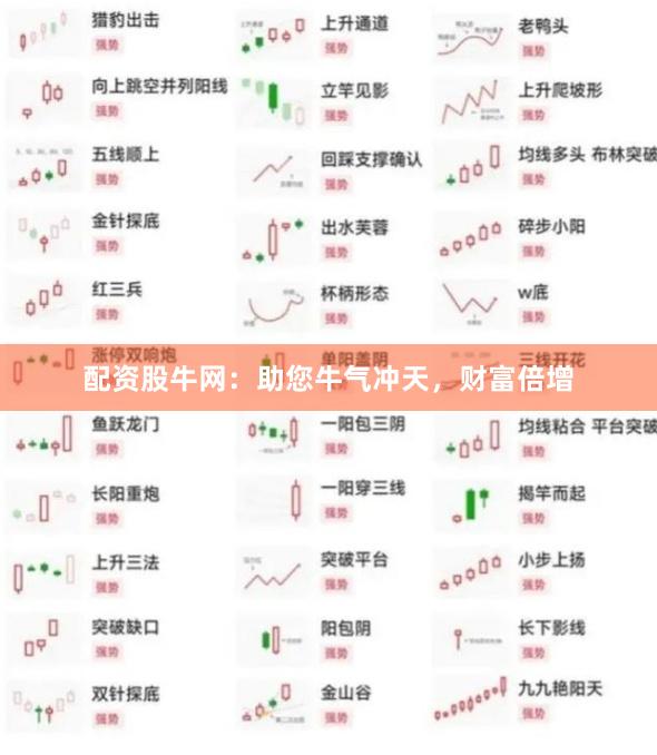 配资股牛网：助您牛气冲天，财富倍增
