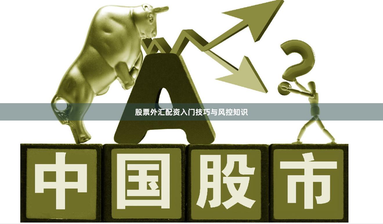 股票外汇配资入门技巧与风控知识
