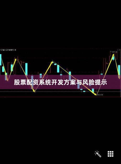 股票配资系统开发方案与风险提示