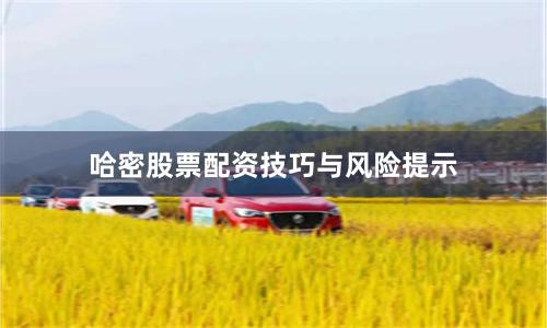 哈密股票配资技巧与风险提示