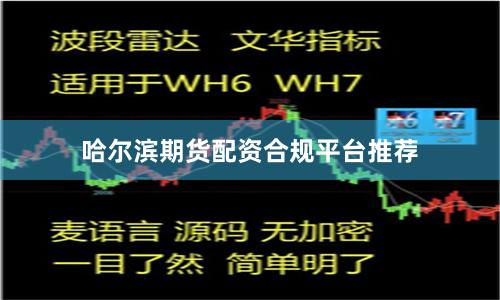 哈尔滨期货配资合规平台推荐
